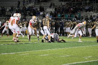 October 11 2019 IMG_30921119